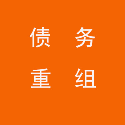 金川个人债务重组优化
